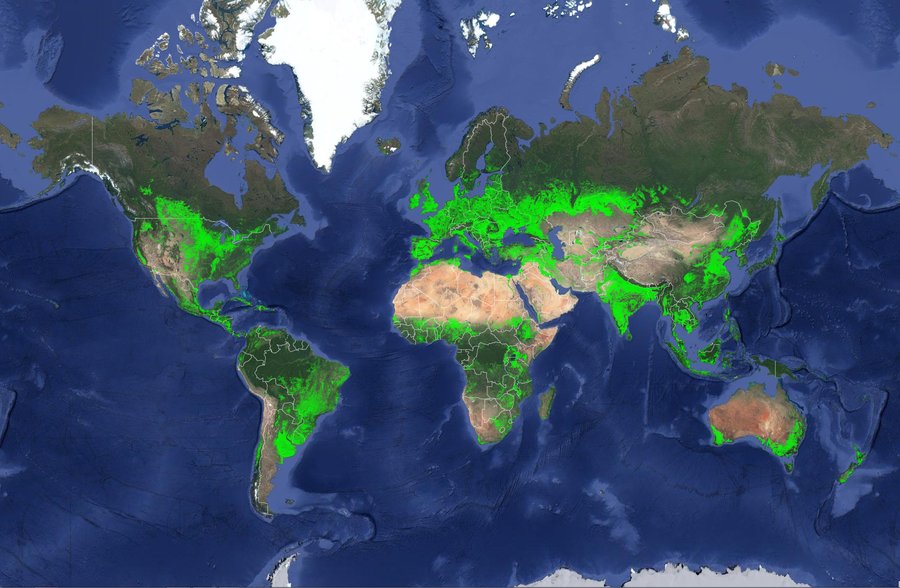 Global satellite map of croplands