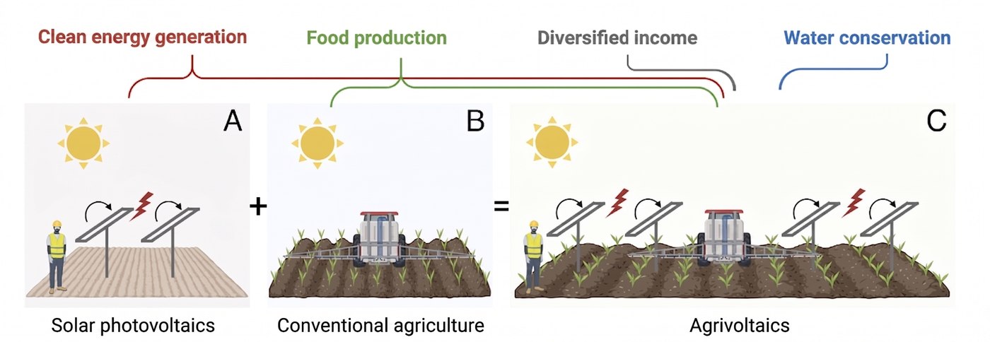 Highlight figure for Climate-driven divergence in biophysical and economic impacts of agrivoltaics