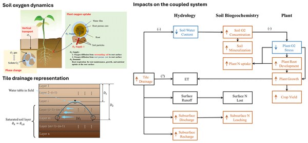 Highlight figure for Soil oxygen dynamics: a key mediator of tile drainage impacts on coupled hydrological, biogeochemical, and crop systems