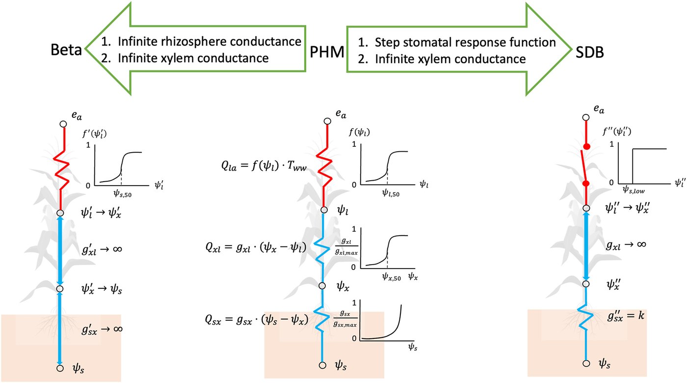 Highlight figure for A unified framework to reconcile different approaches of modeling transpiration response to water stress: plant hydraulics, supply-demand balance, and empirical soil water stress function